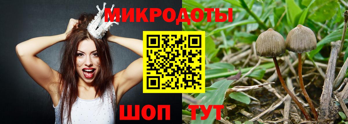 Каспийск  Галлюциногенные грибы мухоморы  Вход с VPN 