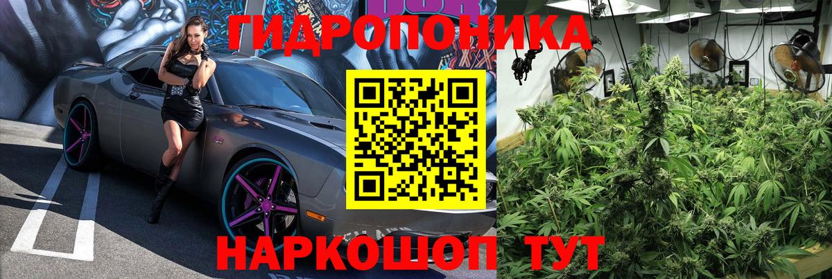 Марихуана семена  Бошки Шишки Amnesia  Канабис THC 21%  Каспийск  Вход с VPN 